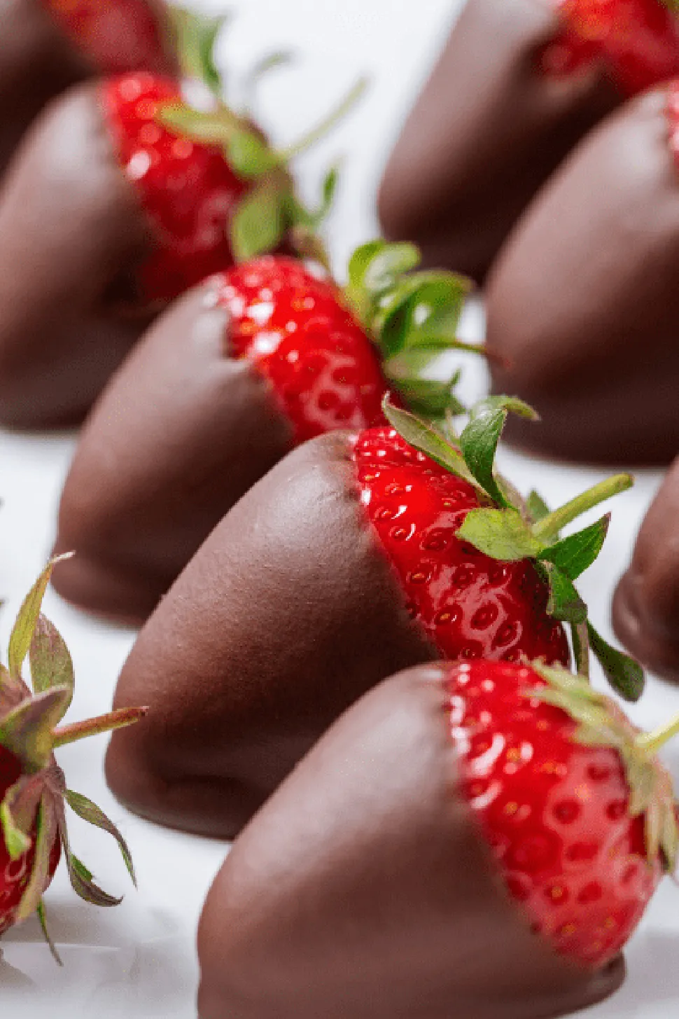 24 Best Strawberry Dessert Recipe Collection Photo