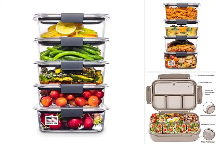 Detailed view of 10 Best Airtight Lunch Containers: Keep Meals Fresh