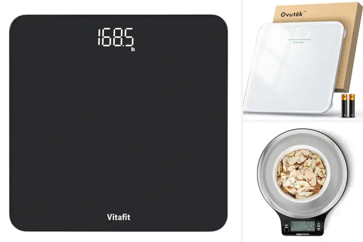 Detailed view of 10 Best Battery Included Scale