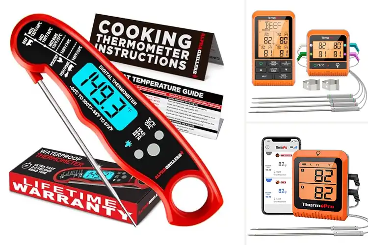 Detailed view of Best BBQ Thermometers For Grilling