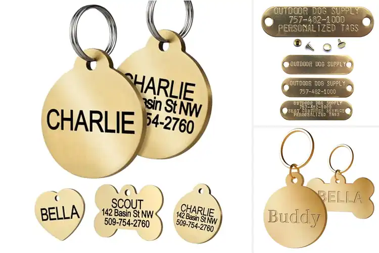 Detailed view of 10 Best Brass Pet ID Tags for Lasting Safety & Style