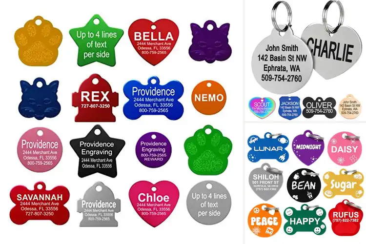 Detailed view of 10 Best Cat ID Tags for Safety and Style Explained