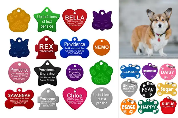 Detailed view of 10 Best Cat Tags: Secure Your Pet’s Safe Return