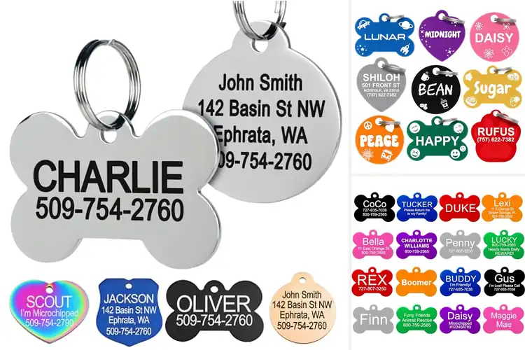 Detailed view of 10 Best Custom Pet ID Tags: Keep Your Pet Safe & Stylish