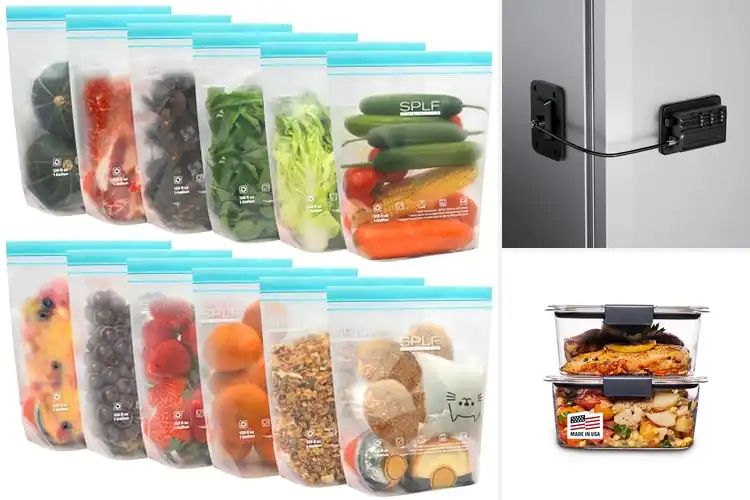 Detailed view of Best Dishwasher Safe Fridge Safe Freezer Safe
