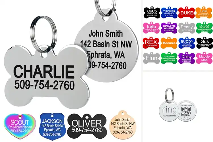 Detailed view of 10 Best Dog ID Tags: Peace of Mind