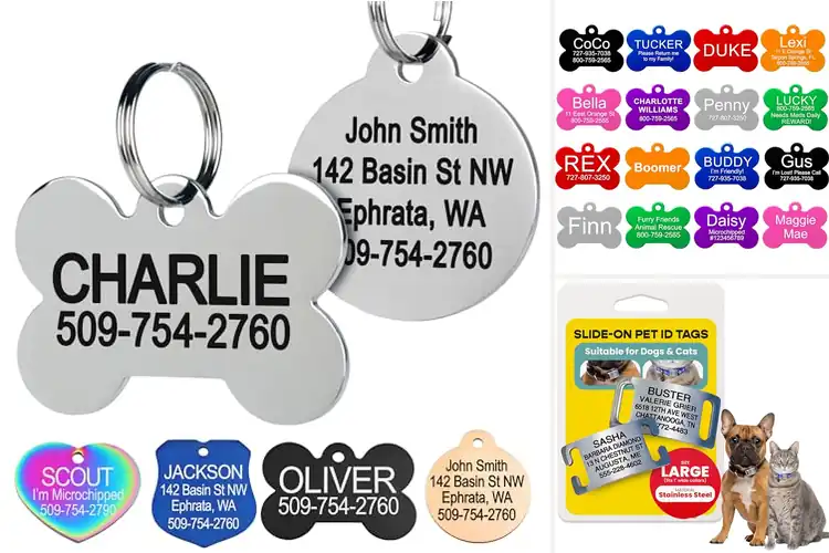 Detailed view of 10 Best Durable Pet ID Tags for Ultimate Safety and Peace of Mind