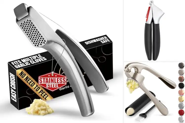Detailed view of 10 Best Easy-Clean Garlic Presses That Save Your Hands