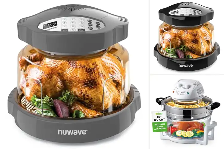 Detailed view of Best Economical Healthy Cooking Appliances