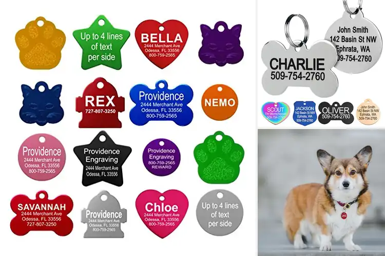 Detailed view of 10 Best Engraved Pet ID Tags: Durable & Adventure-Ready