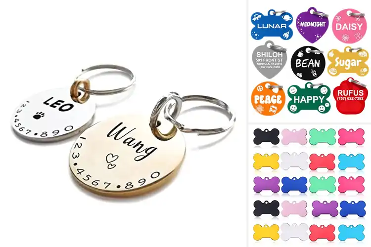 Detailed view of 10 Best Extra Small Pet ID Tags — Keep Tiny Pets Safe