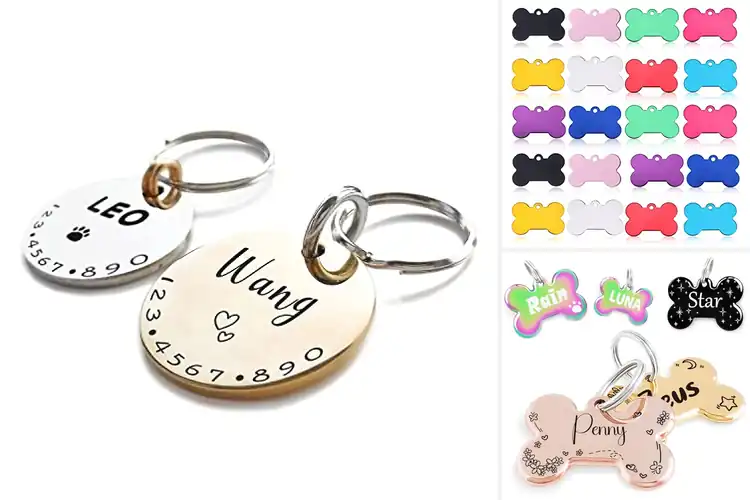 Detailed view of 10 Best Extra Small Pet Tags: Keep Pets Safe Forever