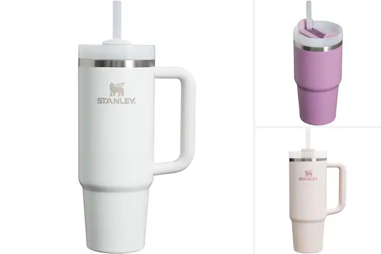 Detailed view of 10 Best FlowState Tumblers: Real Reviews & Picks