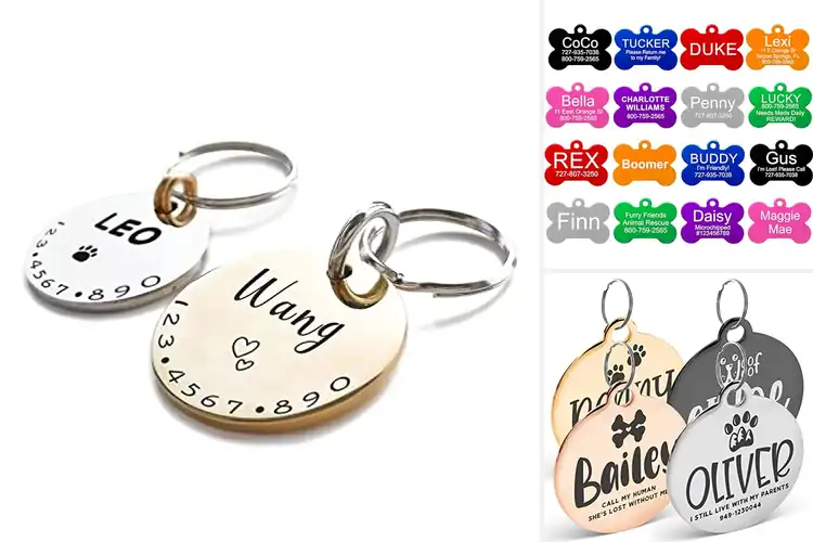 Detailed view of 10 Best Four Legged Pet ID Tags That Actually Work