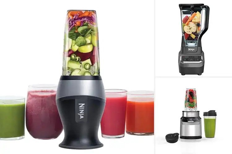 Detailed view of 10 Best Frozen Fruit Blenders: Blend Fruits Instantly