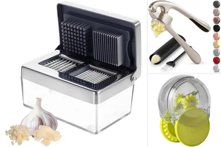 Detailed view of 10 Best Garlic Mincers to Boost Flavor & Save Time
