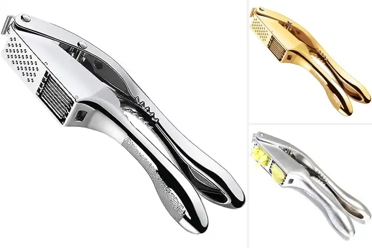 Detailed view of 10 Best Garlic Presses for Effortless Cooking