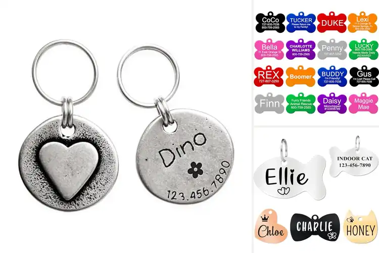 Detailed view of 10 Best Handcrafted Pet ID Tags for Stylish Safety