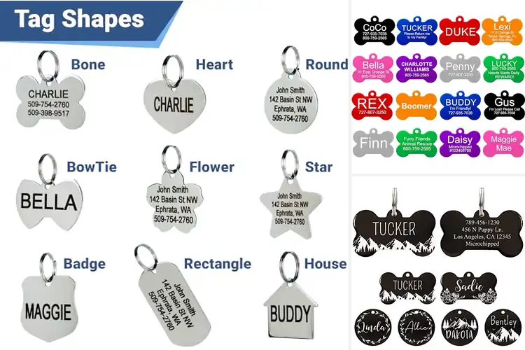 Detailed view of 10 Best Large Dog Tags for Big Dogs – Durable, Reliable IDs