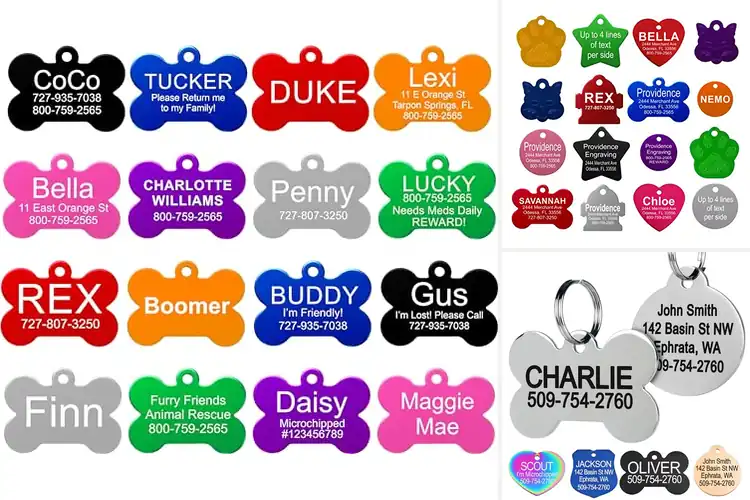 Detailed view of 10 Best Laser Engraved Pet ID Tags – Keep Them Safe