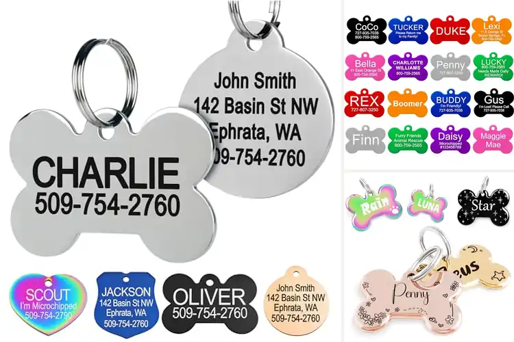 Detailed view of 10 Best Medium Dog Tags: Keep Your Pup Safe & Secure