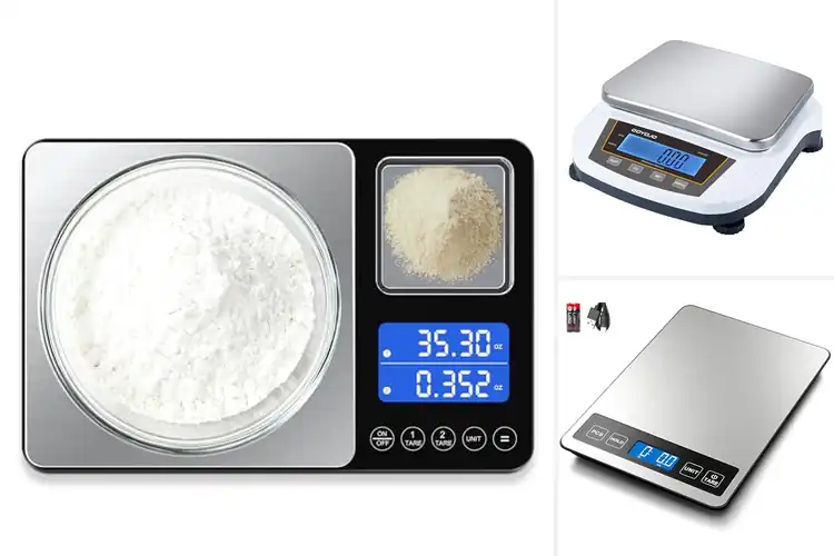 Detailed view of Best Multi-Unit Digital Scales