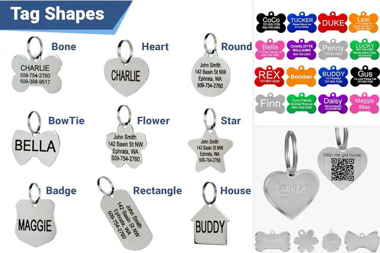 Detailed view of 10 Best Personalized Dog Tags: Find Your Perfect Pick