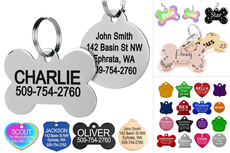 Detailed view of 10 Best Personalized Pet ID Tags for Your Pet’s Safety