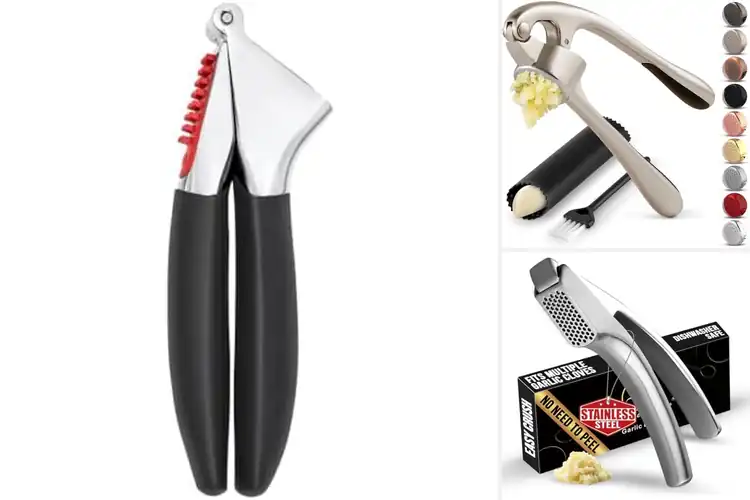Detailed view of 10 Best Professional Garlic Presses for Effortless Cooking