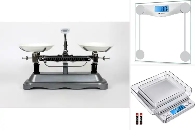 Detailed view of 10 Best Scales for Precise Weight Measurement