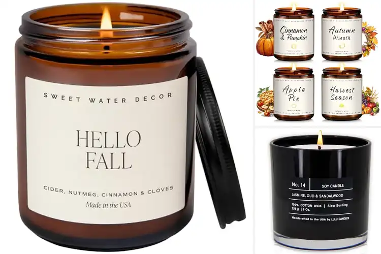 Detailed view of 10 Best Soy Candles for a Cozy, Clean, and Inviting Home