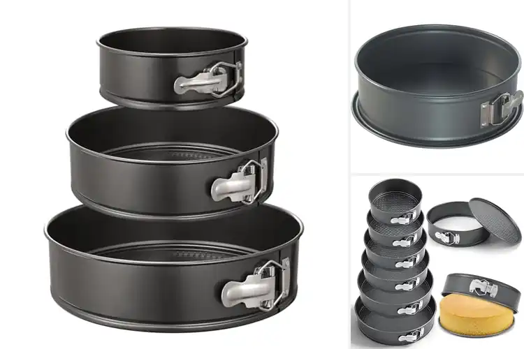 Detailed view of Best Springform Pans