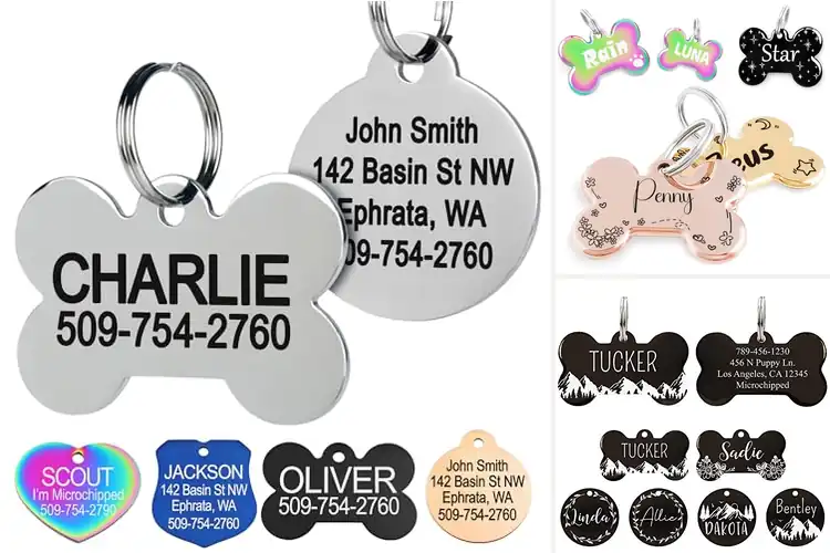 Detailed view of 10 Best Stainless Steel Pet ID Tags for Safety & Style