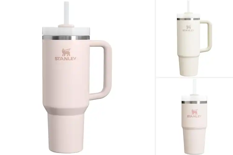 Detailed view of Best Stanley Quencher Tumbler