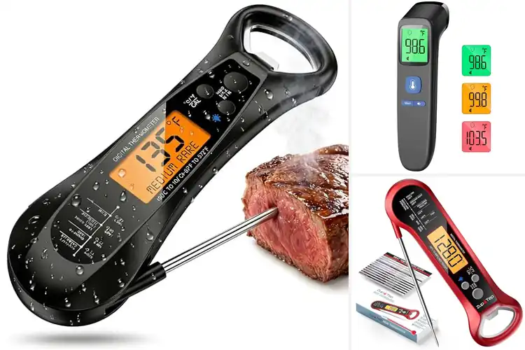 Detailed view of Best Temperature Probes For Fast Accurate Readings