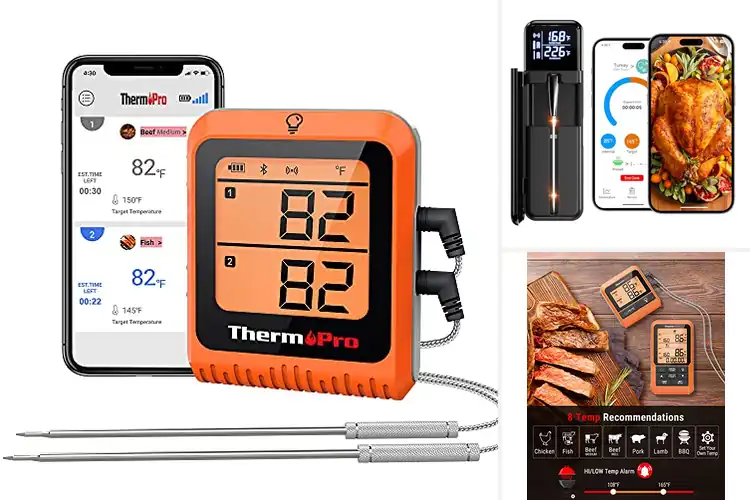Detailed view of 10 Best Wireless Food Thermometers for Outdoor Cooking