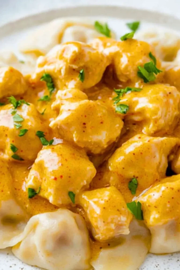 Chicken Paprikash with Dumplings Photo