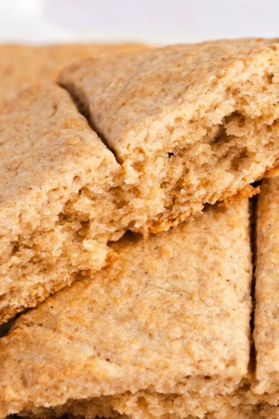 Lembas Bread From Lord of the Rings Photo