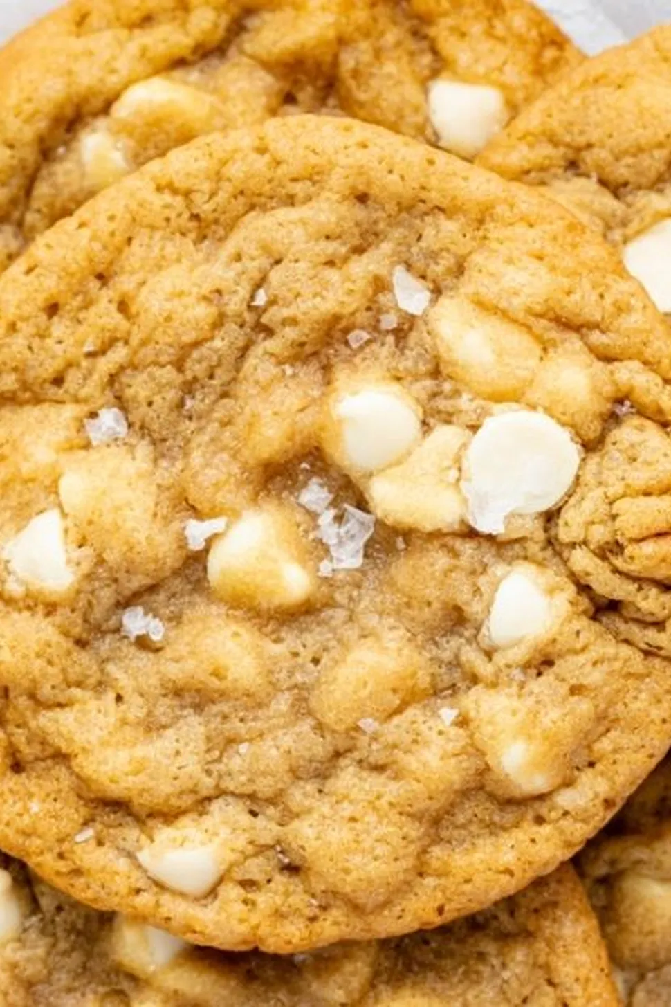 White Chocolate Chip Cookies Photo